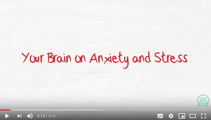 Your Brain on Stress and Anxiety
